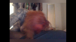 порно видео 45972