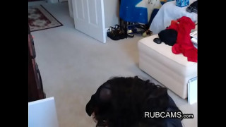 порно видео 54852