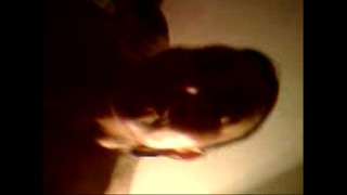 порно видео 59363